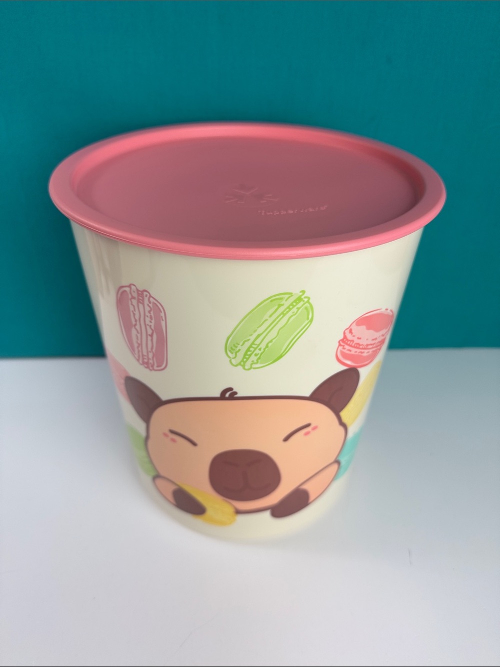 Tupperware One Touch Canister Size E 23 Cup / 5.5L Capybara Pink Seal
